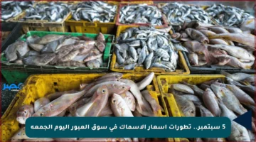 5 سبتمبر.. تطورات أسعار الأسماك في سوق العبور اليوم الجمعة